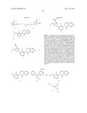 INHIBITORS OF BRUTON S TYROSINE KINASE diagram and image