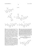 INHIBITORS OF BRUTON S TYROSINE KINASE diagram and image