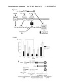 PREVENTION OF TISSUE ISCHEMIA AND RELATED COMPOSITIONS diagram and image