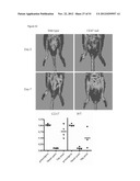 PREVENTION OF TISSUE ISCHEMIA AND RELATED COMPOSITIONS diagram and image