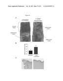 PREVENTION OF TISSUE ISCHEMIA AND RELATED COMPOSITIONS diagram and image