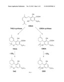 Pharmaceutical Composition Comprising Cannabinoids diagram and image