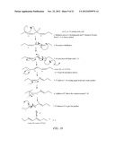 TRANS-, TRANS-CONJUGATED LINOLEIC ACID COMPOSITIONS AND USE THEREOF diagram and image