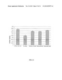 USE OF SULINDAC FOR PROTECTING RETINAL PIGMENT EPITHELIAL CELLS AGAINST     OXIDATIVE STRESS diagram and image