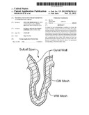 METHOD AND SYSTEM FOR DETERMINING A CONDITION OF A BRAIN diagram and image