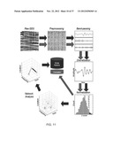 METHOD AND SYSTEM FOR WEIGHTED ANALYSIS OF NEUROPHYSIOLOGICAL DATA diagram and image