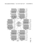 METHOD AND SYSTEM FOR WEIGHTED ANALYSIS OF NEUROPHYSIOLOGICAL DATA diagram and image