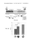 METHOD AND SYSTEM FOR WEIGHTED ANALYSIS OF NEUROPHYSIOLOGICAL DATA diagram and image