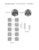 METHOD AND SYSTEM FOR WEIGHTED ANALYSIS OF NEUROPHYSIOLOGICAL DATA diagram and image