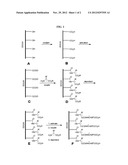 TREATING LIGNOCELLULOSIC MATERIALS diagram and image