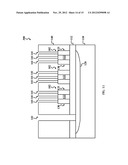 FIN-LIKE FIELD EFFECT TRANSISTOR (FINFET) NON-VOLATILE RANDOM ACCESS     MEMORY (NVRAM) DEVICE WITH BOTTOM ERASE GATE diagram and image