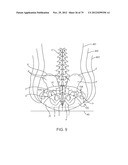 APPARATUS AND SYSTEM FOR DYNAMICALLY CORRECTING POSTURE diagram and image