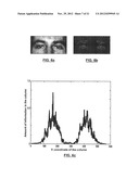 METHOD, SYSTEM AND COMPUTER PROGRAM PRODUCT FOR AUTOMATIC AND     SEMI-AUTOMATIC MODIFICATOIN OF DIGITAL IMAGES OF FACES diagram and image