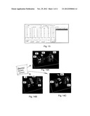 Systems and Methods for Alignment, Calibration and Rendering for an     Angular Slice True-3D Display diagram and image