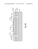 AUTONOMOUS LIGHT AMPLIFYING DEVICE FOR SURFACE ENHANCED RAMAN SPECTROSCOPY diagram and image