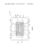 AUTONOMOUS LIGHT AMPLIFYING DEVICE FOR SURFACE ENHANCED RAMAN SPECTROSCOPY diagram and image