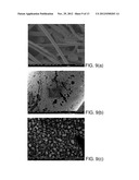 FLEXIBLE SERS SUBSTRATES WITH FILTERING CAPABILITIES diagram and image