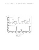 FLEXIBLE SERS SUBSTRATES WITH FILTERING CAPABILITIES diagram and image