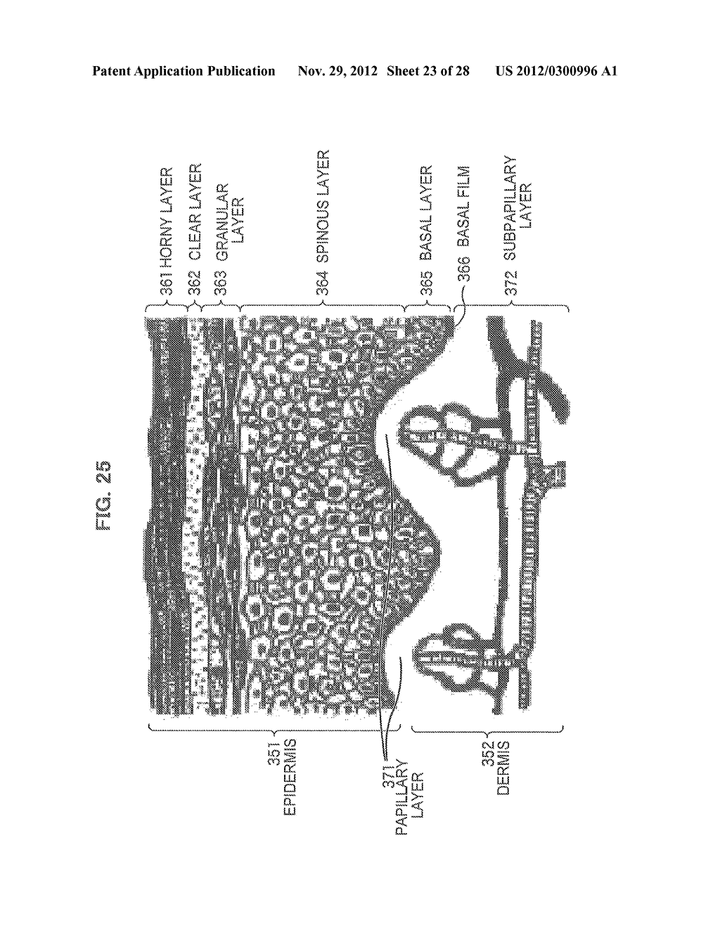 IMAGE PROCESSING DEVICE, IMAGE PROCESSING METHOD, PROGRAM, AND RECORDING     MEDIUM - diagram, schematic, and image 24