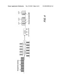 Optical Superchannel Method and System diagram and image