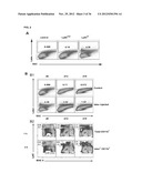 TARGETING AND IN VIVO IMAGING OF TUMOR-ASSOCIATED MACROPHAGES diagram and image