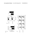 TARGETING AND IN VIVO IMAGING OF TUMOR-ASSOCIATED MACROPHAGES diagram and image