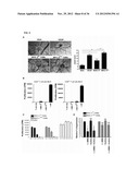 TARGETING AND IN VIVO IMAGING OF TUMOR-ASSOCIATED MACROPHAGES diagram and image