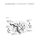 TARGETING AND IN VIVO IMAGING OF TUMOR-ASSOCIATED MACROPHAGES diagram and image