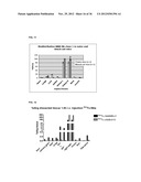 TARGETING AND IN VIVO IMAGING OF TUMOR-ASSOCIATED MACROPHAGES diagram and image