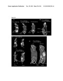 TARGETING AND IN VIVO IMAGING OF TUMOR-ASSOCIATED MACROPHAGES diagram and image