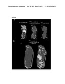 TARGETING AND IN VIVO IMAGING OF TUMOR-ASSOCIATED MACROPHAGES diagram and image