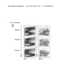 TARGETING AND IN VIVO IMAGING OF TUMOR-ASSOCIATED MACROPHAGES diagram and image