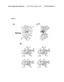 MEDITOPES AND MEDITOPE-BINDING ANTIBODIES AND USES THEREOF diagram and image