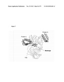 MEDITOPES AND MEDITOPE-BINDING ANTIBODIES AND USES THEREOF diagram and image