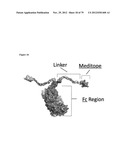 MEDITOPES AND MEDITOPE-BINDING ANTIBODIES AND USES THEREOF diagram and image