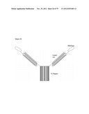 MEDITOPES AND MEDITOPE-BINDING ANTIBODIES AND USES THEREOF diagram and image