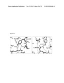 MEDITOPES AND MEDITOPE-BINDING ANTIBODIES AND USES THEREOF diagram and image