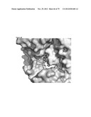 MEDITOPES AND MEDITOPE-BINDING ANTIBODIES AND USES THEREOF diagram and image