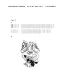 MEDITOPES AND MEDITOPE-BINDING ANTIBODIES AND USES THEREOF diagram and image