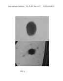 METHODS AND MATERIALS FOR INCREASING POTENCY OF CELLS diagram and image