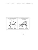 DEXTRAN-HYALURONIC ACID BASED HYDROGELS diagram and image