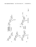 DEXTRAN-HYALURONIC ACID BASED HYDROGELS diagram and image