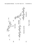 DEXTRAN-HYALURONIC ACID BASED HYDROGELS diagram and image