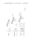 DEXTRAN-HYALURONIC ACID BASED HYDROGELS diagram and image