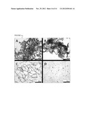 DEXTRAN-HYALURONIC ACID BASED HYDROGELS diagram and image