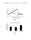 TREATMENT OF BONE FRACTURE diagram and image