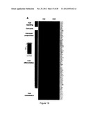 TREATMENT OF BONE FRACTURE diagram and image