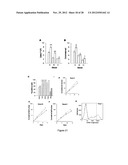 TREATMENT OF BONE FRACTURE diagram and image