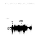 FAS BINDING ANTIBODIES diagram and image