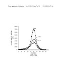 NOVEL HEPARANASE SPLICE VARIANT diagram and image